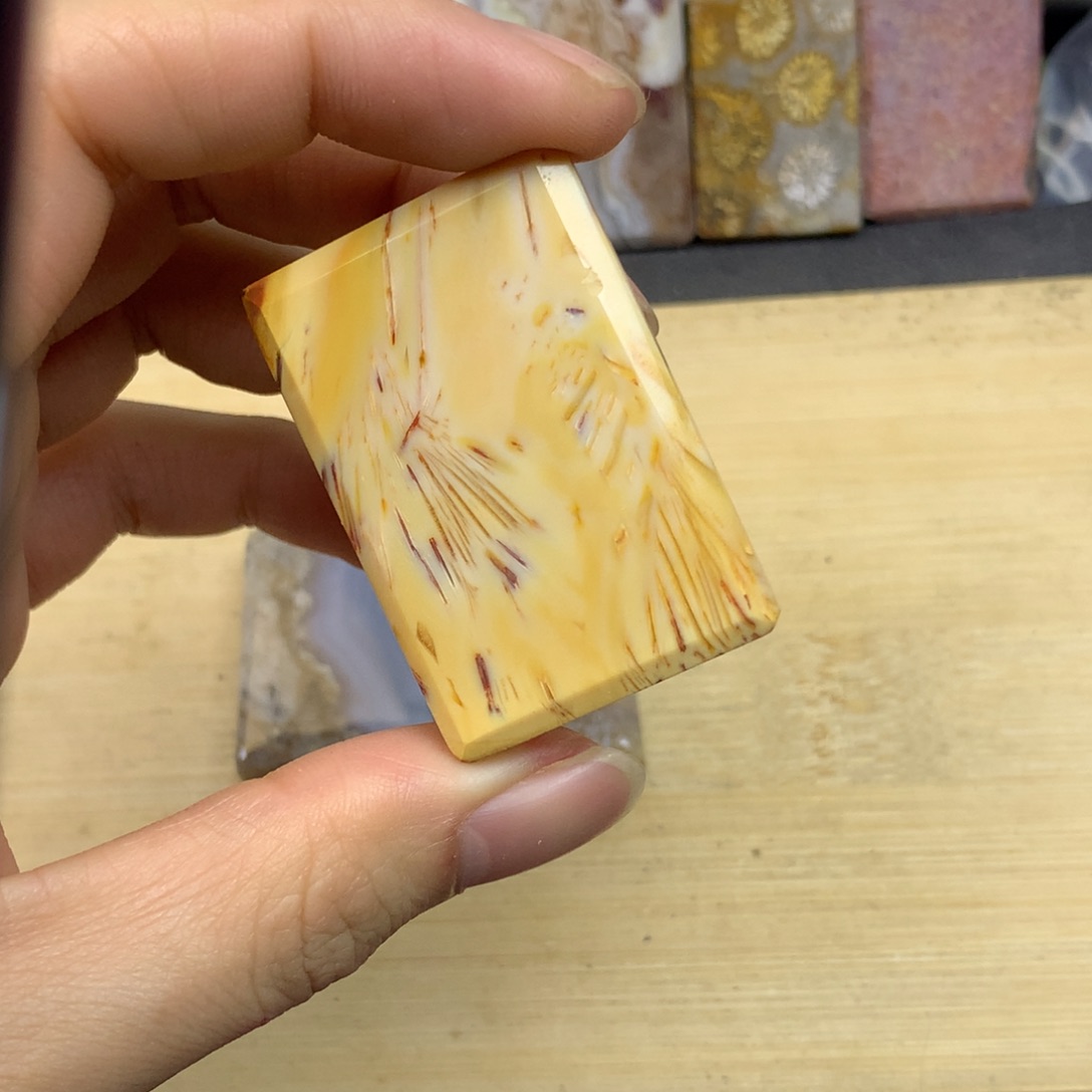 麦***斯硅化珊瑚（珊瑚玉）未镶嵌珠宝奇石