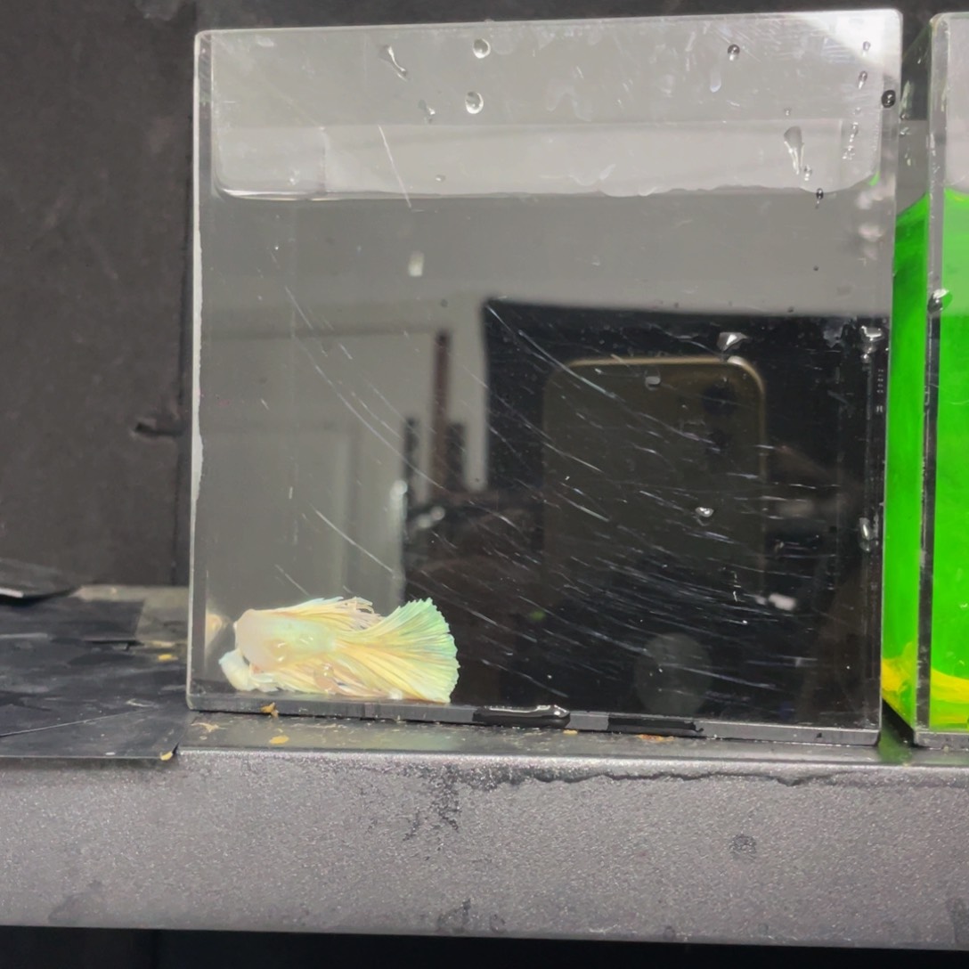 海水哈哈哈啊哈哈哈哈哈