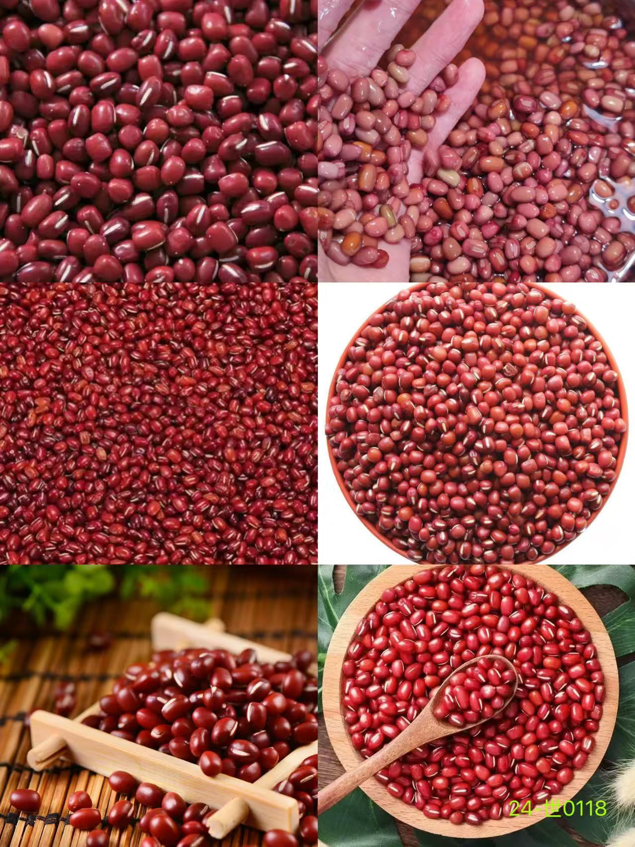《24》龙腾专属土特产红豆-世0118-43g
