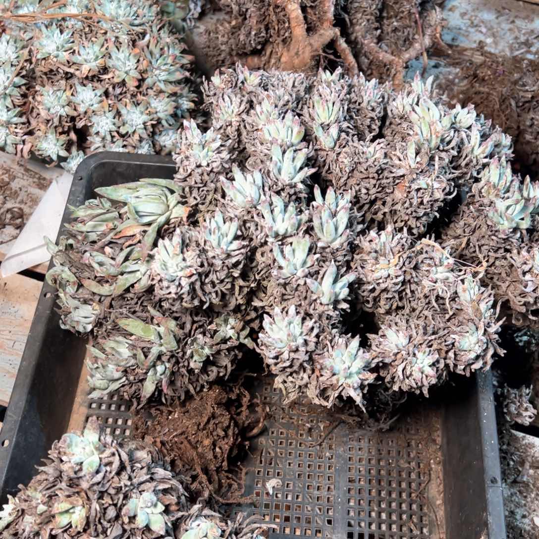 7693哈哈哈哈哈哈哈哈哈