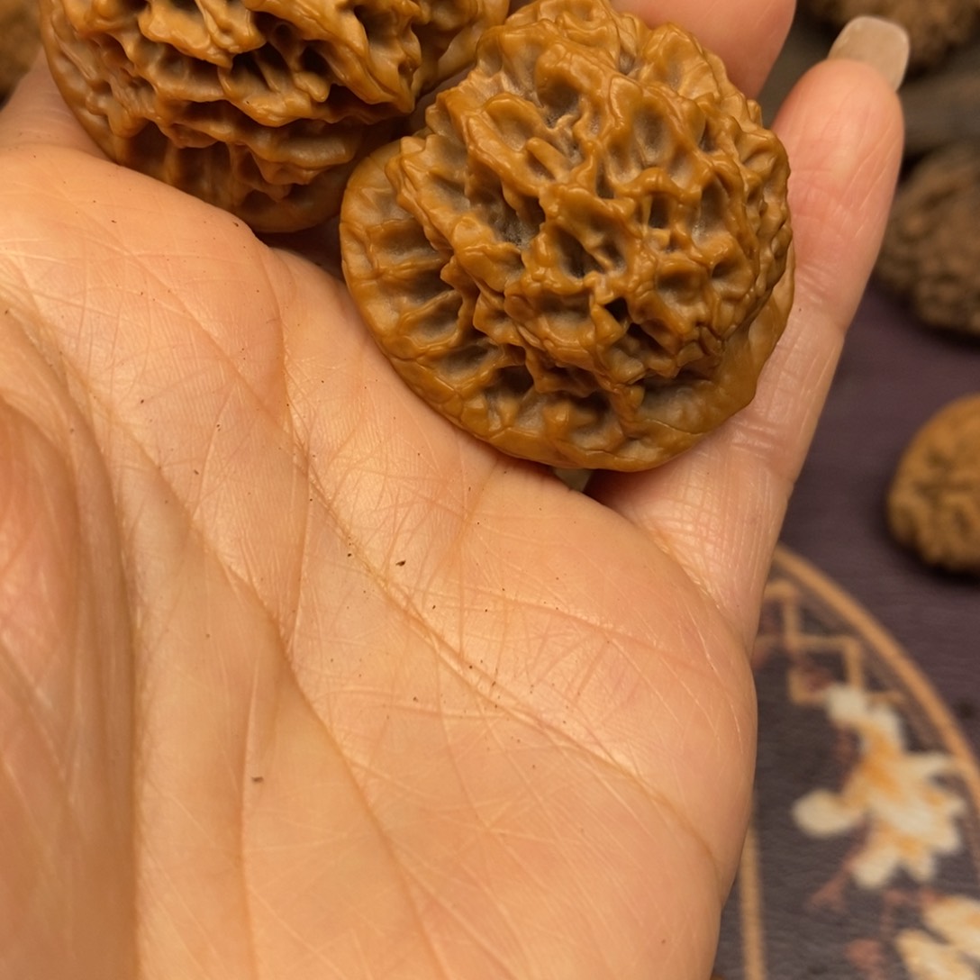 白****秦岭南路的那个