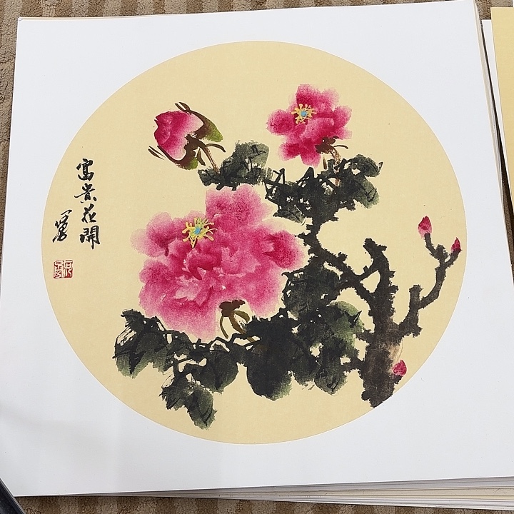 国画花鸟等多种鸟类的栖息地和