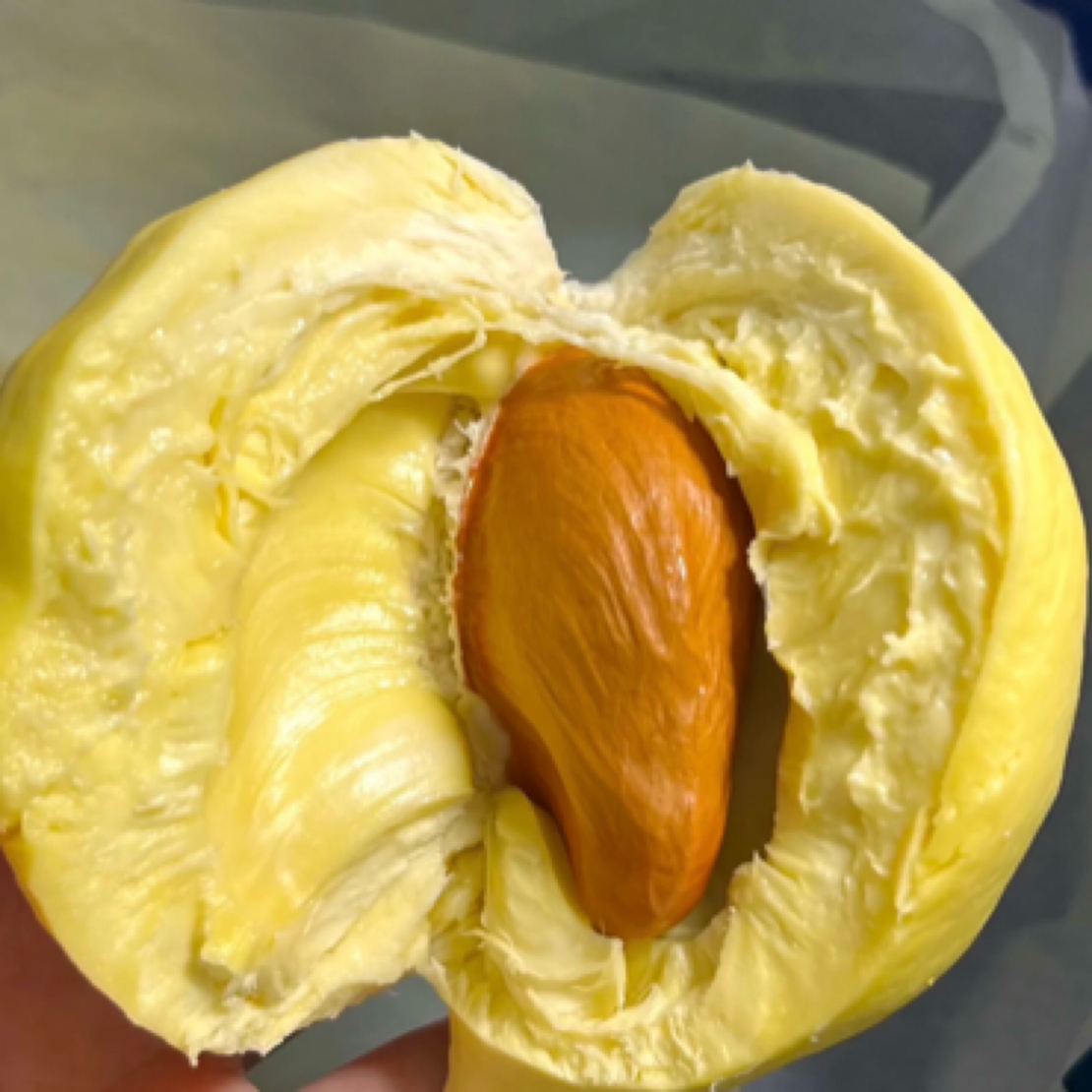 【新鲜榴莲小时达】金枕 现场开 果肉1.5-1.8斤左右肉厚核小金枕泰国南部
