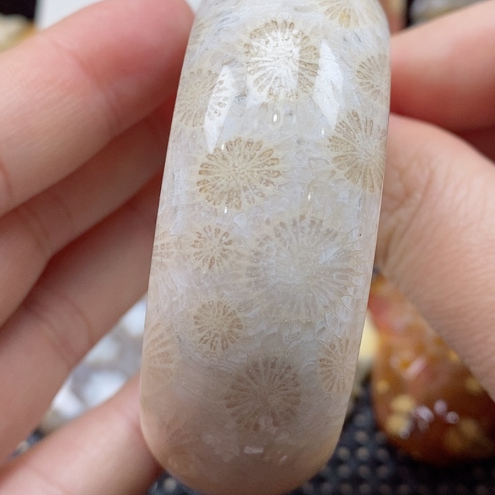 硅化珊瑚（珊瑚玉）颈饰未镶嵌