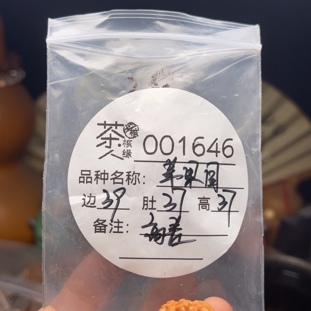文玩核桃吊坠今天