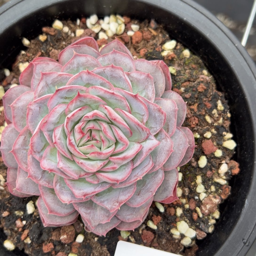 果**台4694肉肉肉肉肉肉肉肉肉