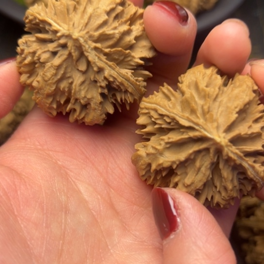 文玩核桃把件秦岭核桃12