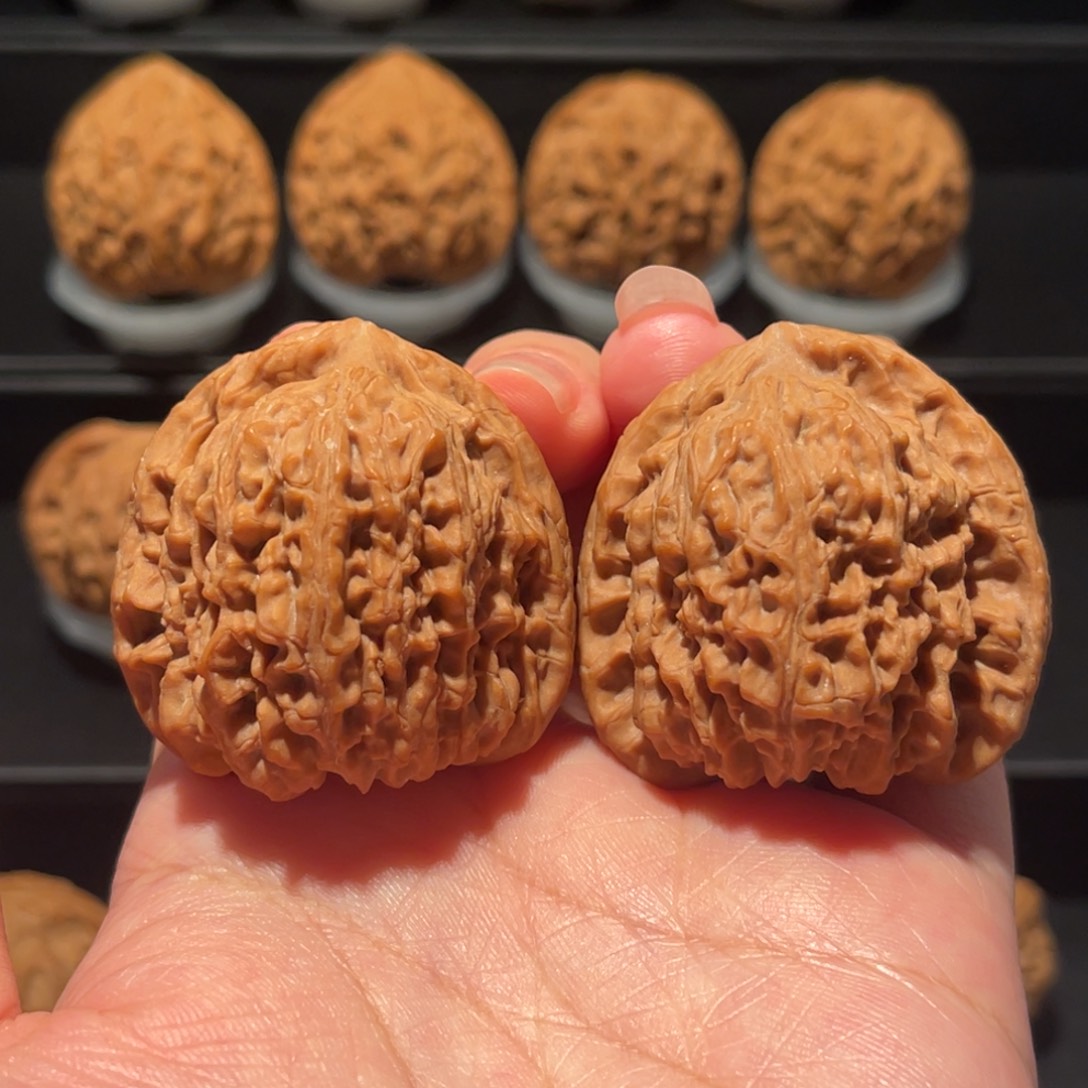 全品，精品，41南疆058