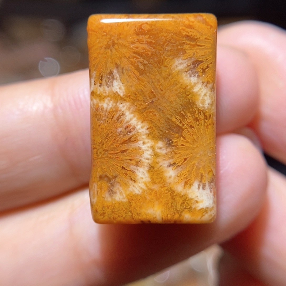 【闪购商品】硅化玉颈饰未镶嵌