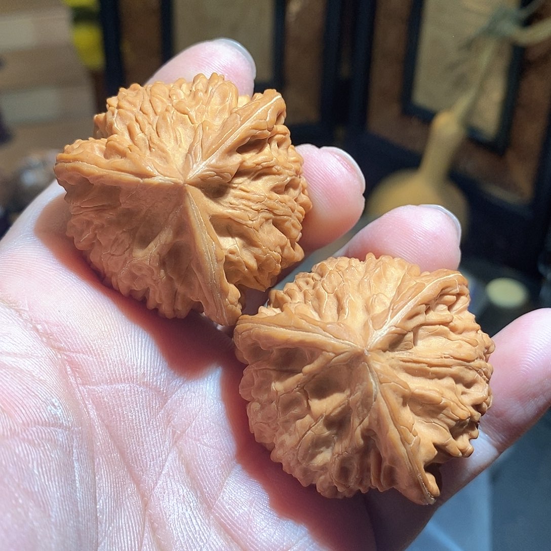文玩核桃把件45文山三棱全品