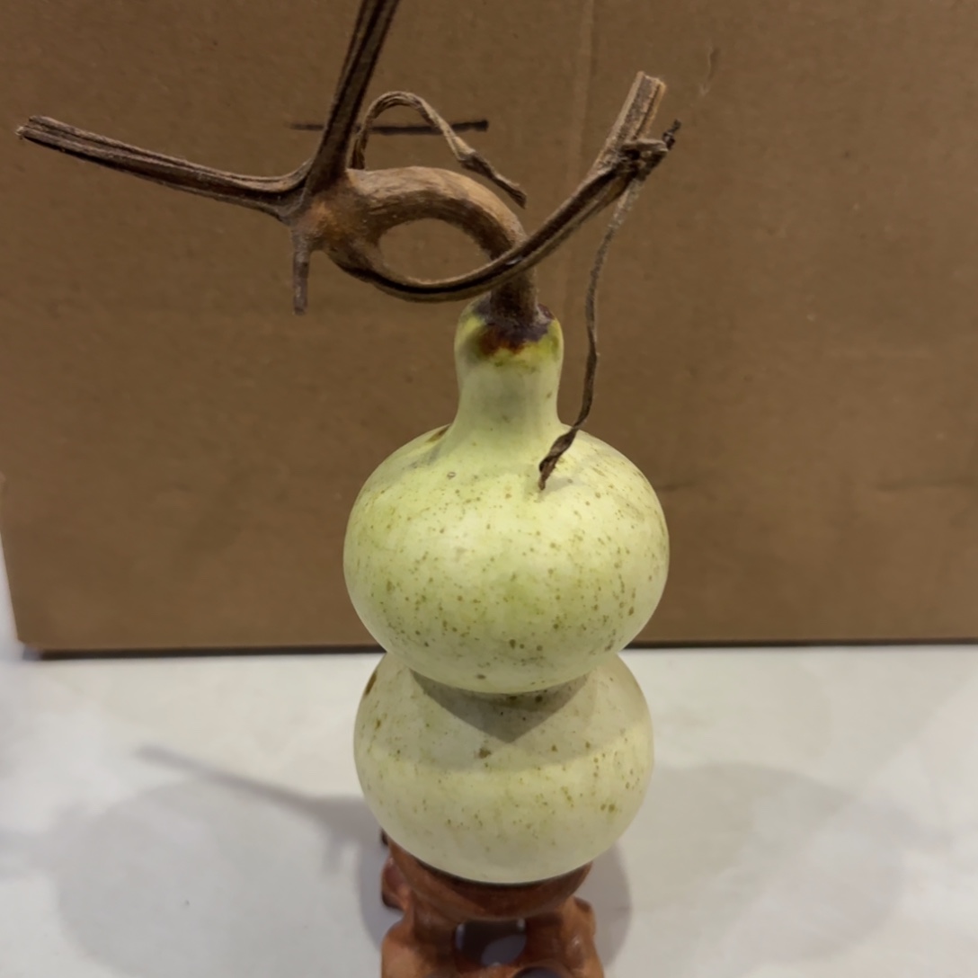 青皮不包成青皮不包成