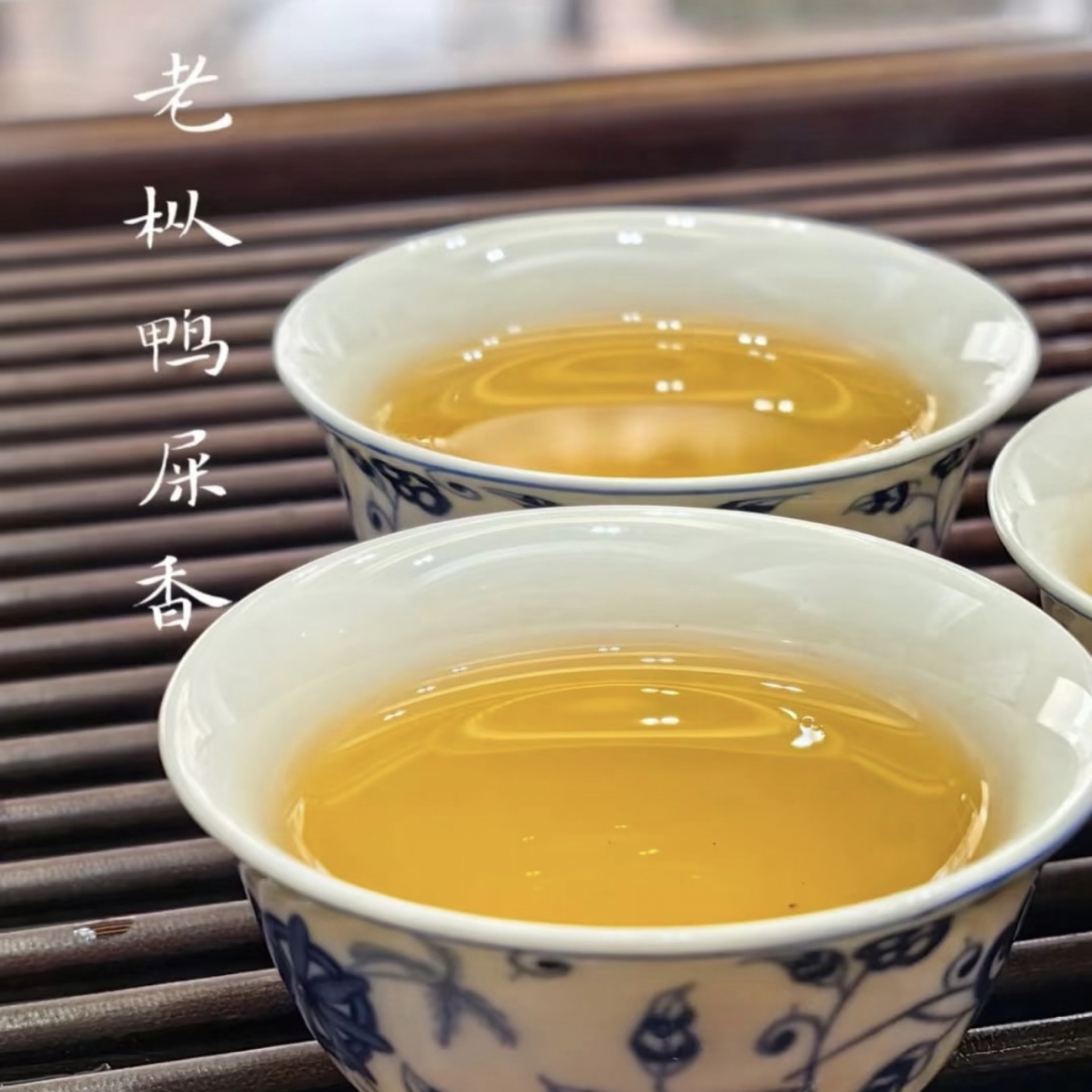 高山（老枞鸭屎香）中熟香
