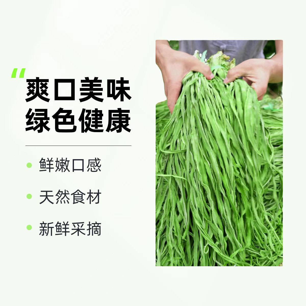 贡菜干天然农家苔菜火锅专用食材新鲜响菜脱水蔬菜特产
