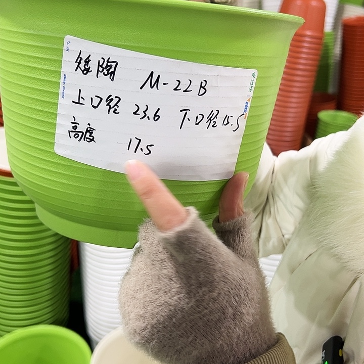 正品矮陶口24高17白色无托6只