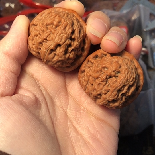 文玩核桃吊坠水龙37