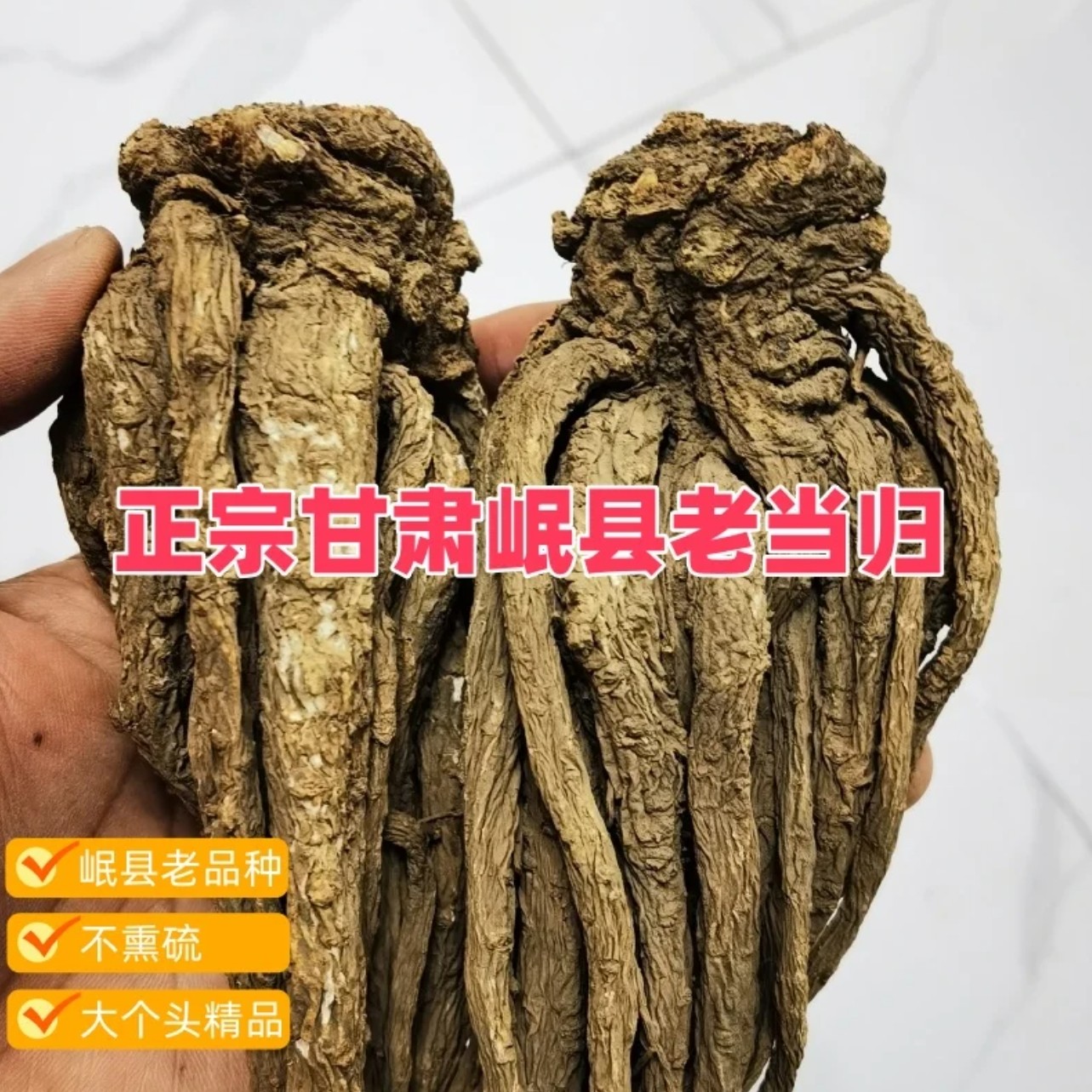 甘肃岷县当归全归条大条泡水煲汤原产地发货