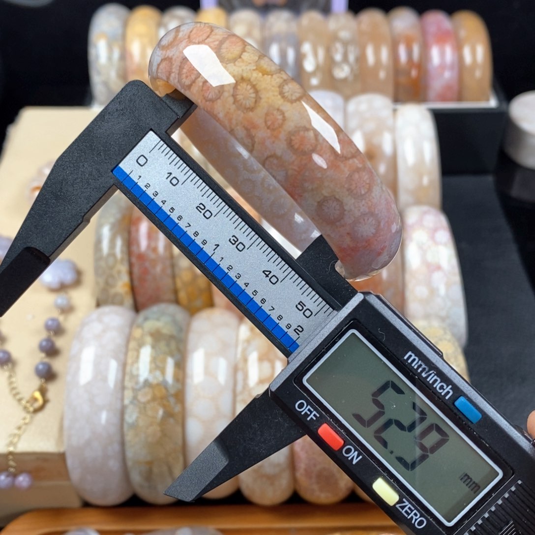 硅化珊瑚（珊瑚玉）手镯圈口5折漏未镶嵌