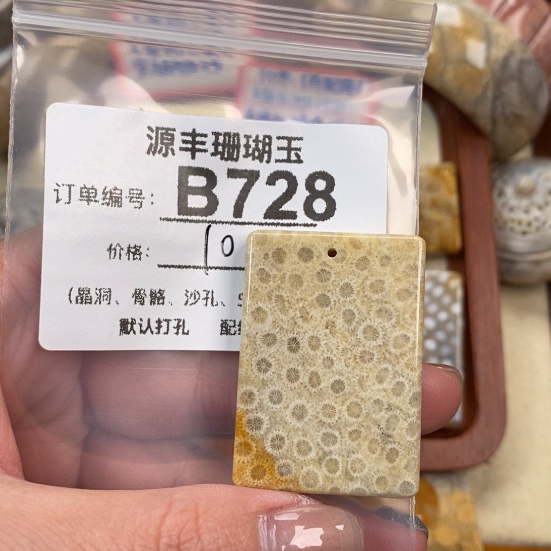 硅化玉颈饰未镶嵌在****果