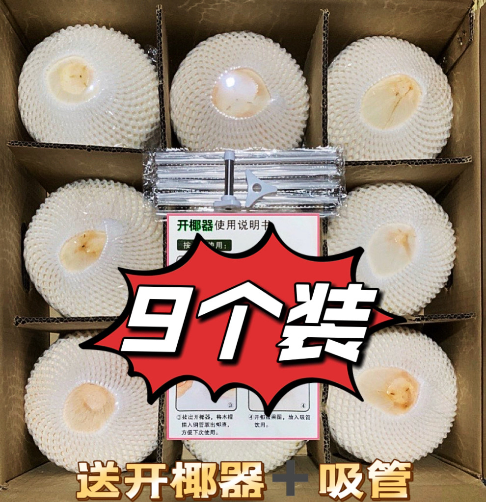 【海南椰青9个】海南文昌椰青大果孕妇当季水果原产地新鲜椰子直发