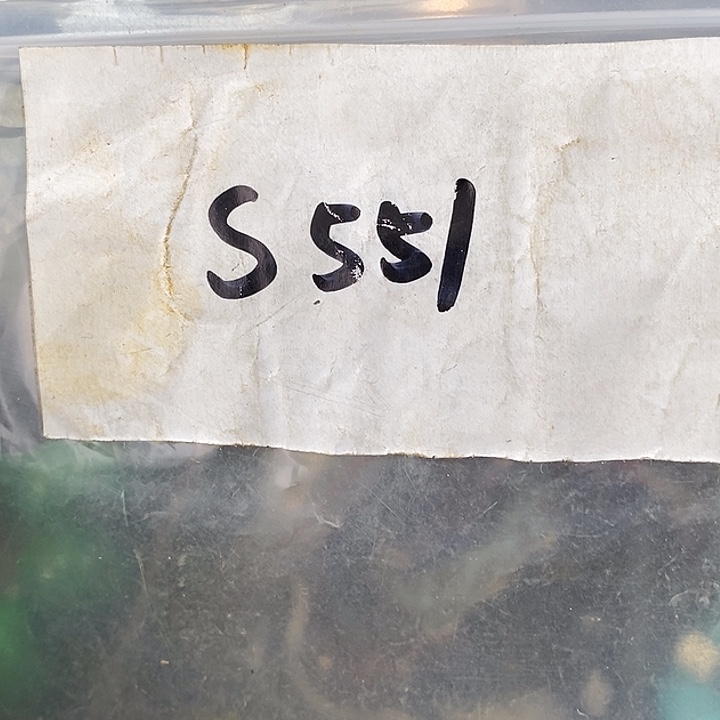 神***龍德宝文玩专属链接