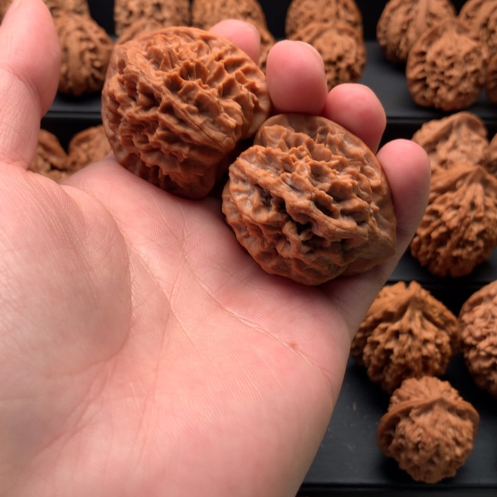 其他核桃一****！秦岭的一座山峰是