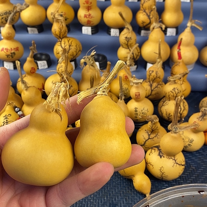 三***ㅤ一物一拍，所见即所得
