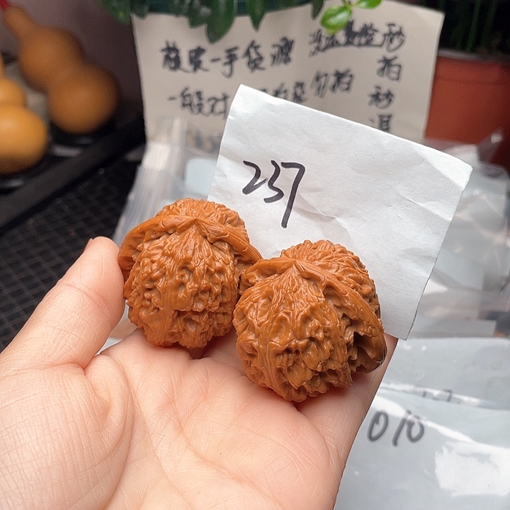 43尺寸打底精修白狮子