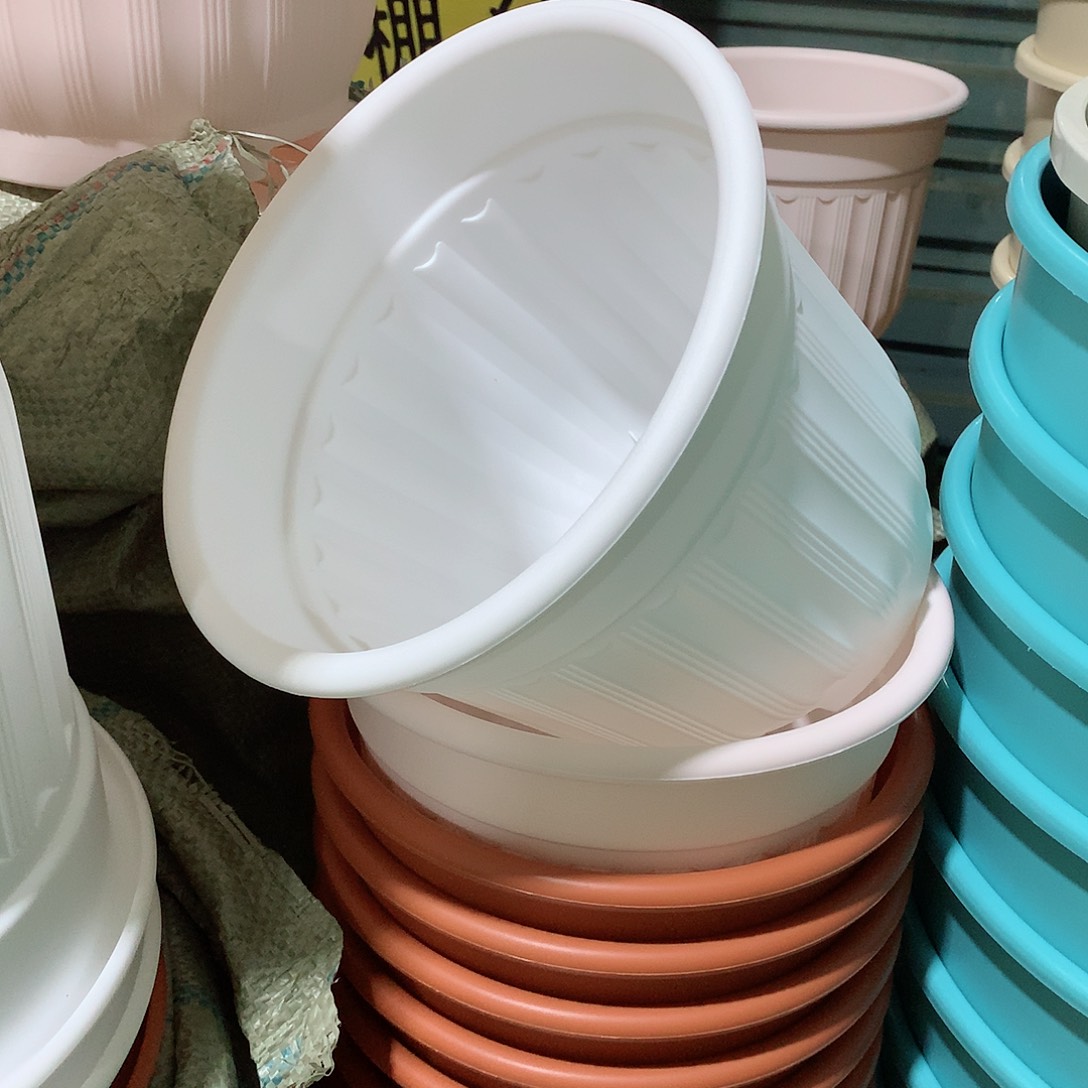 罗马口21白4个无托