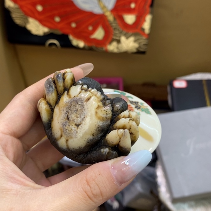 瓷片哦哦哦哦哦哦哦哦哦