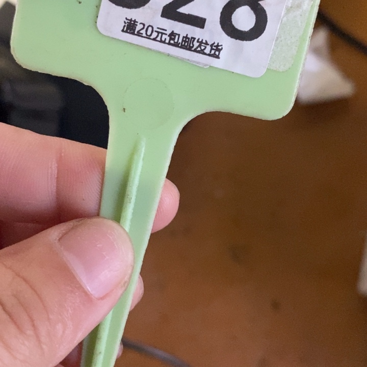 F****生石花等植物的生长528