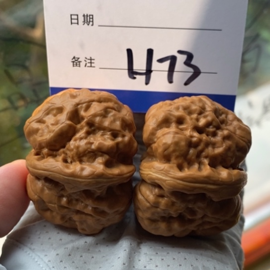 布***猫文玩核桃吊坠42蛤蟆头