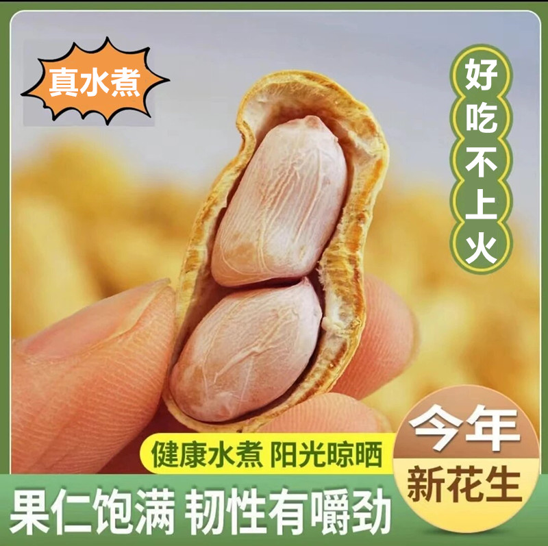 新货【真水煮】福建龙岩特产水煮白晒花生咸干有嚼劲带壳太阳日晒