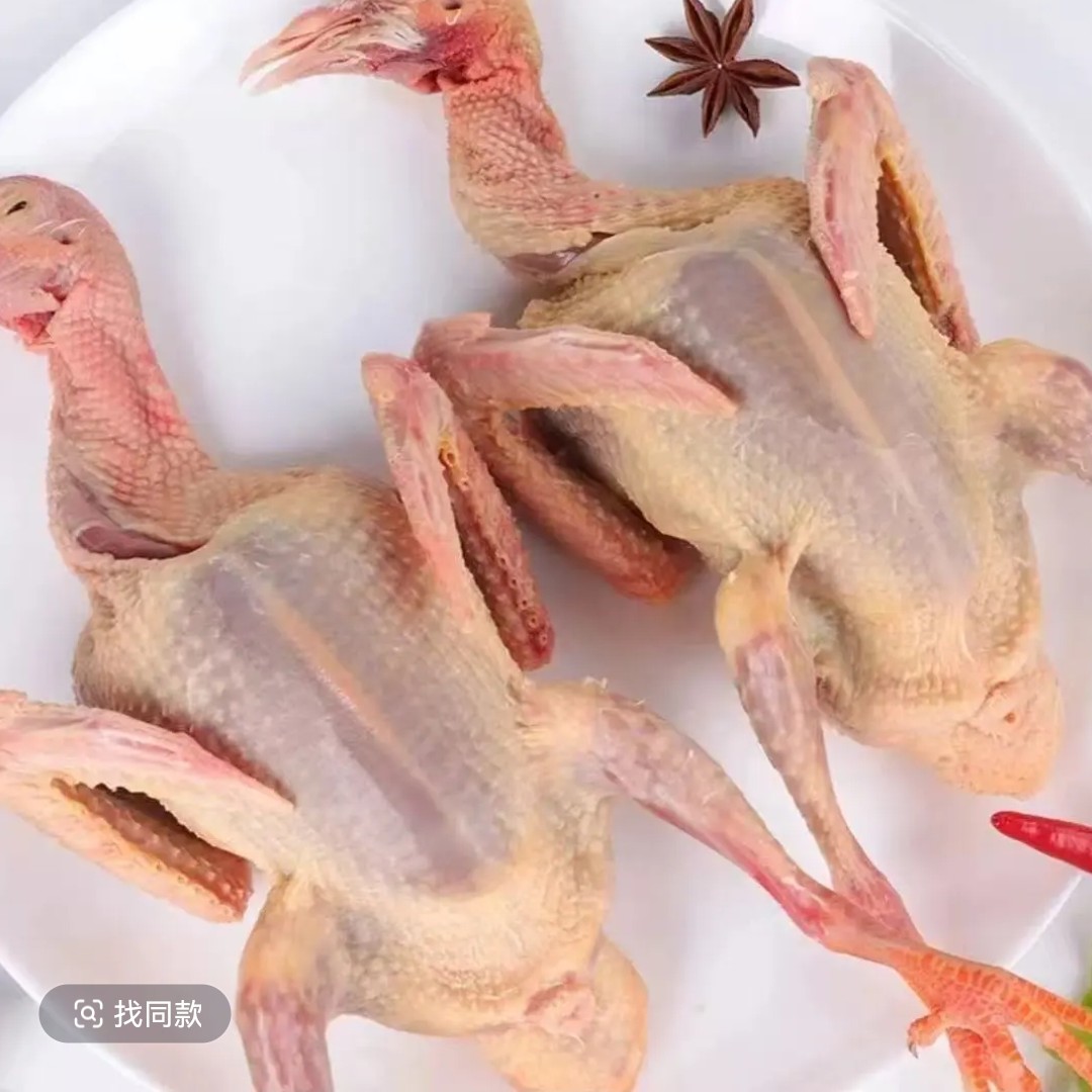 养殖场新鲜现杀乳鸽煲汤鸽子肉生鲜冷链发货