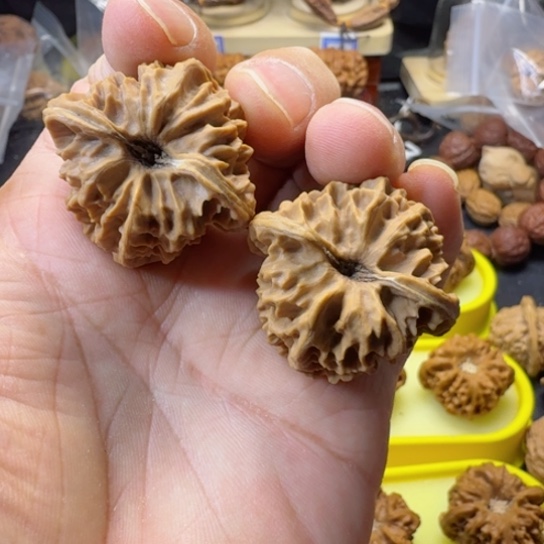 文玩核桃把件曹大龙36