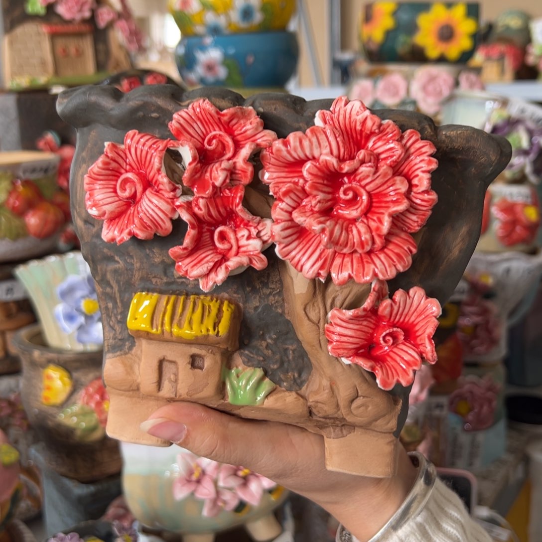 花盆，拍满20发货，退款拉黑