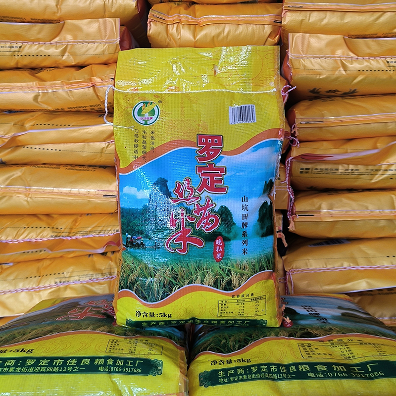 广东长粒香大米罗定特产丝苗米5kg素龙靓米当季新米籼米稻米产地