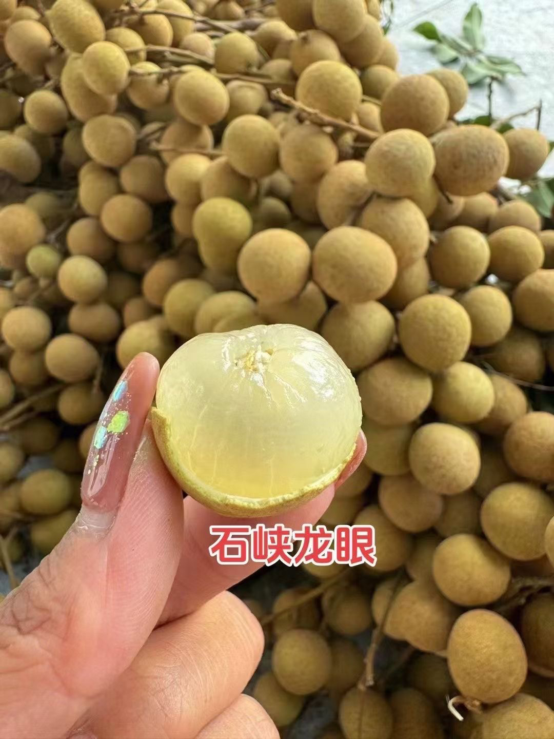 广东高州石硖龙眼省内京东包邮皮薄肉厚新鲜採摘