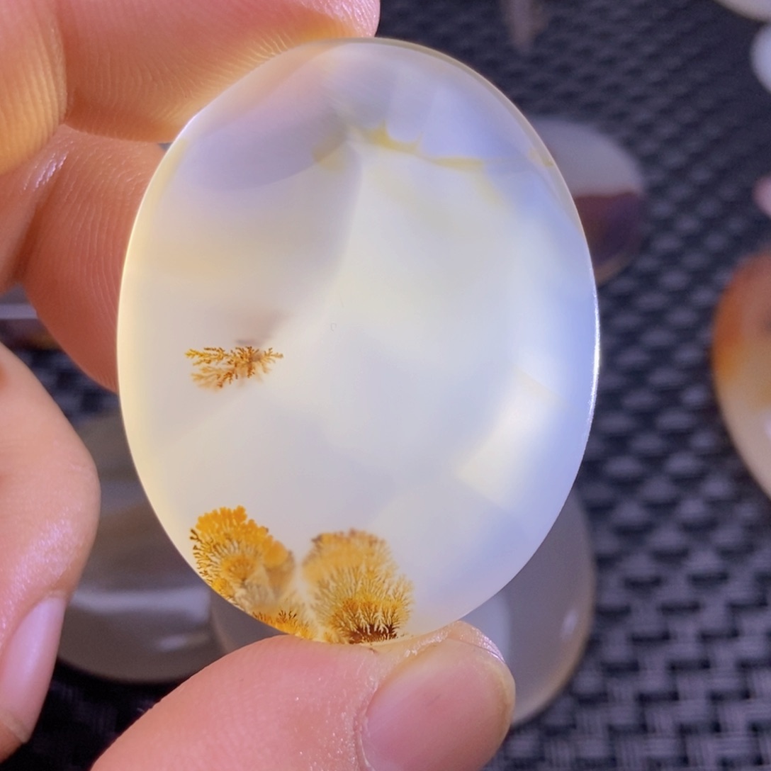 【闪购商品】未镶嵌颈饰玛瑙/玉髓多****辩