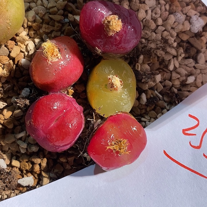 25381。   一组。     