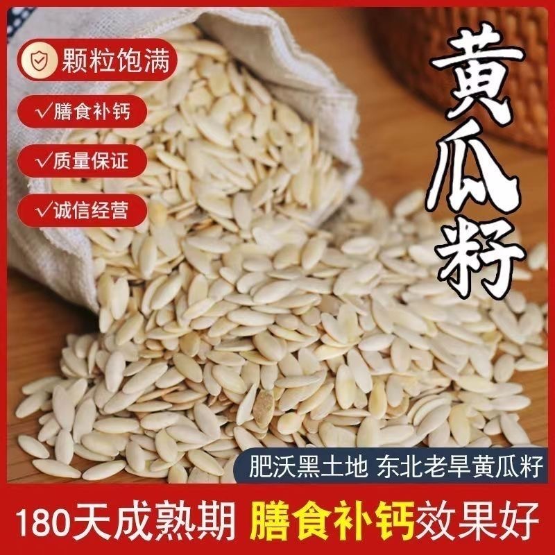 （黄瓜籽）粉生黄瓜籽东北旱生黄瓜子籽粒饱满免费打粉另售栀子