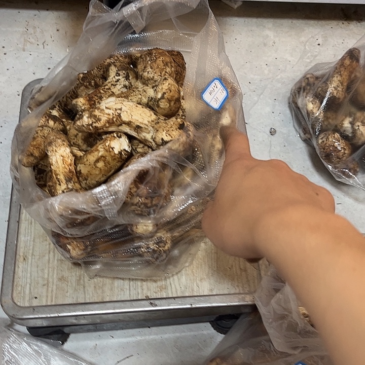 一***影云南野生菌各种新鲜菌菇中国大陆
