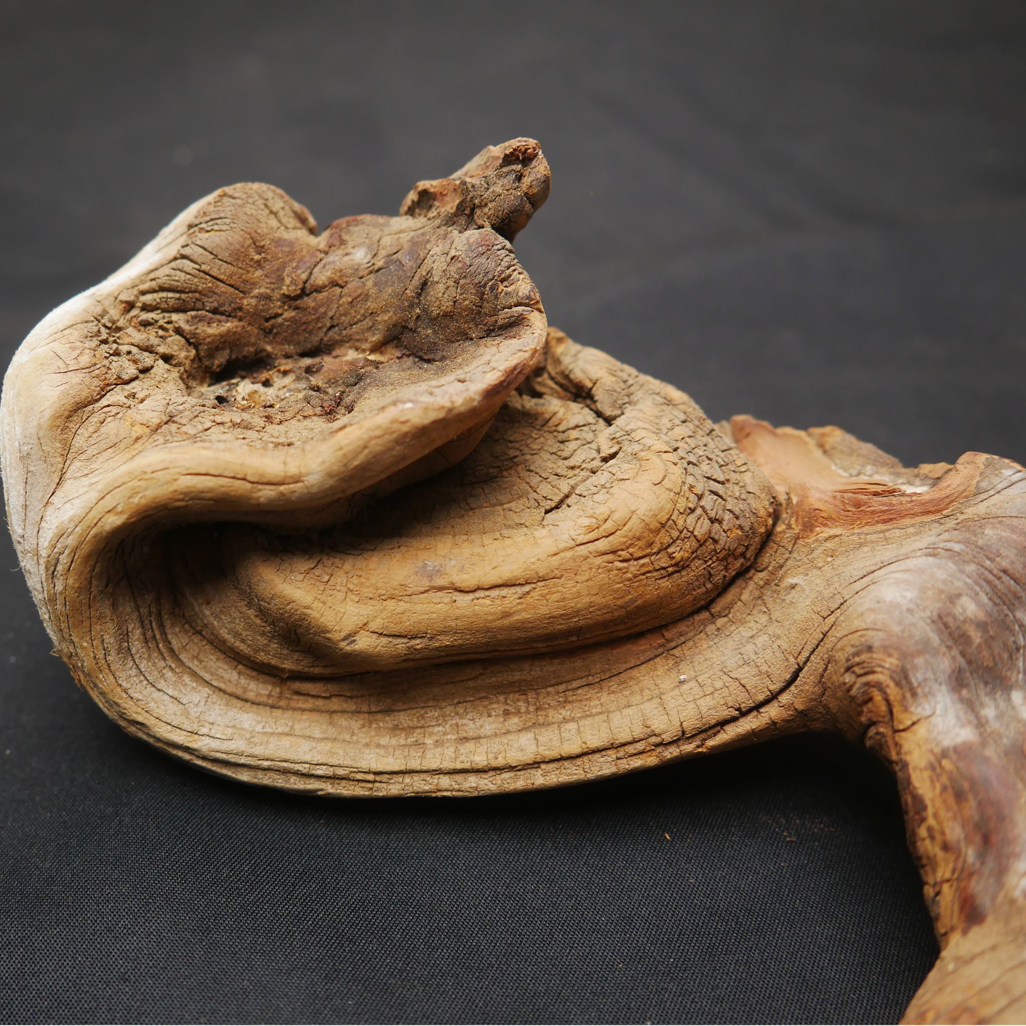 一号链接太行创意树桩