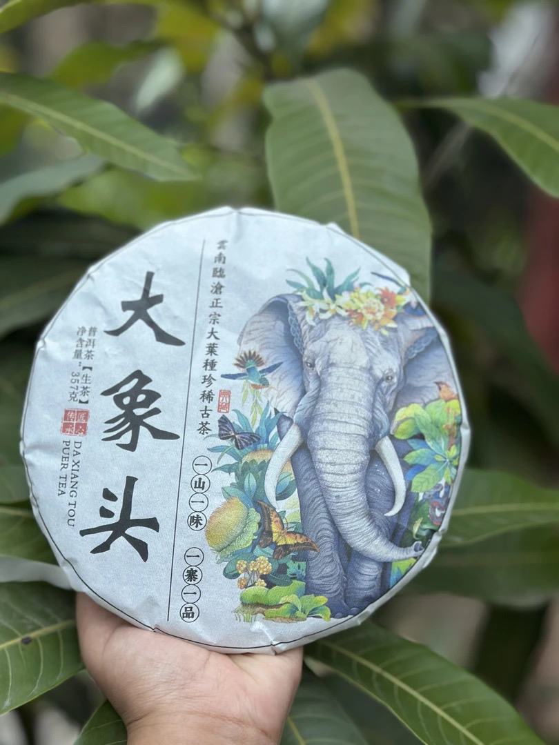 正宗云南大叶种母种大象头普洱茶生茶357克