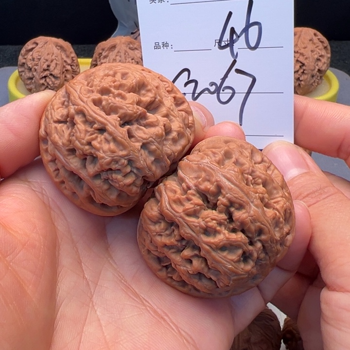 文玩核桃把件大粗筋微修C2067