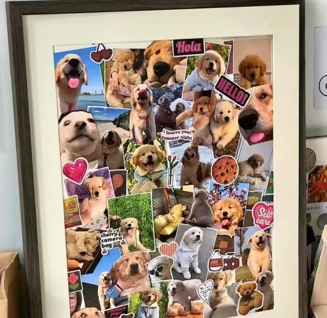 家居宠物陪伴纪念相框相册狗狗猫咪相框打印放大宠物相册