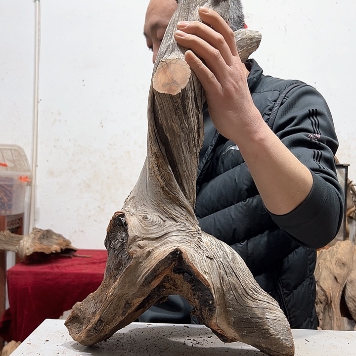 柏木正****料我们的生活也是如此的