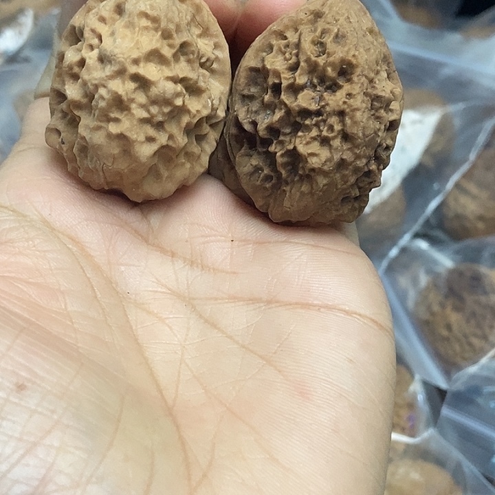 木质类云南铁核桃基地67