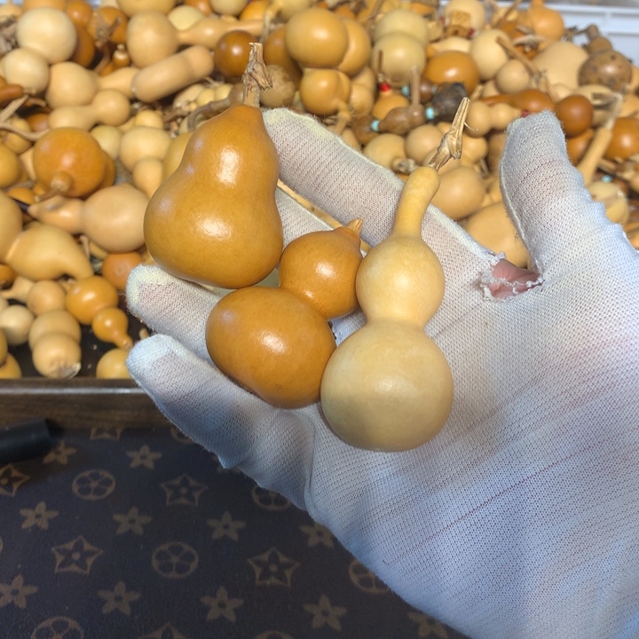 我在开会没时间出去买衣服呢今天下午