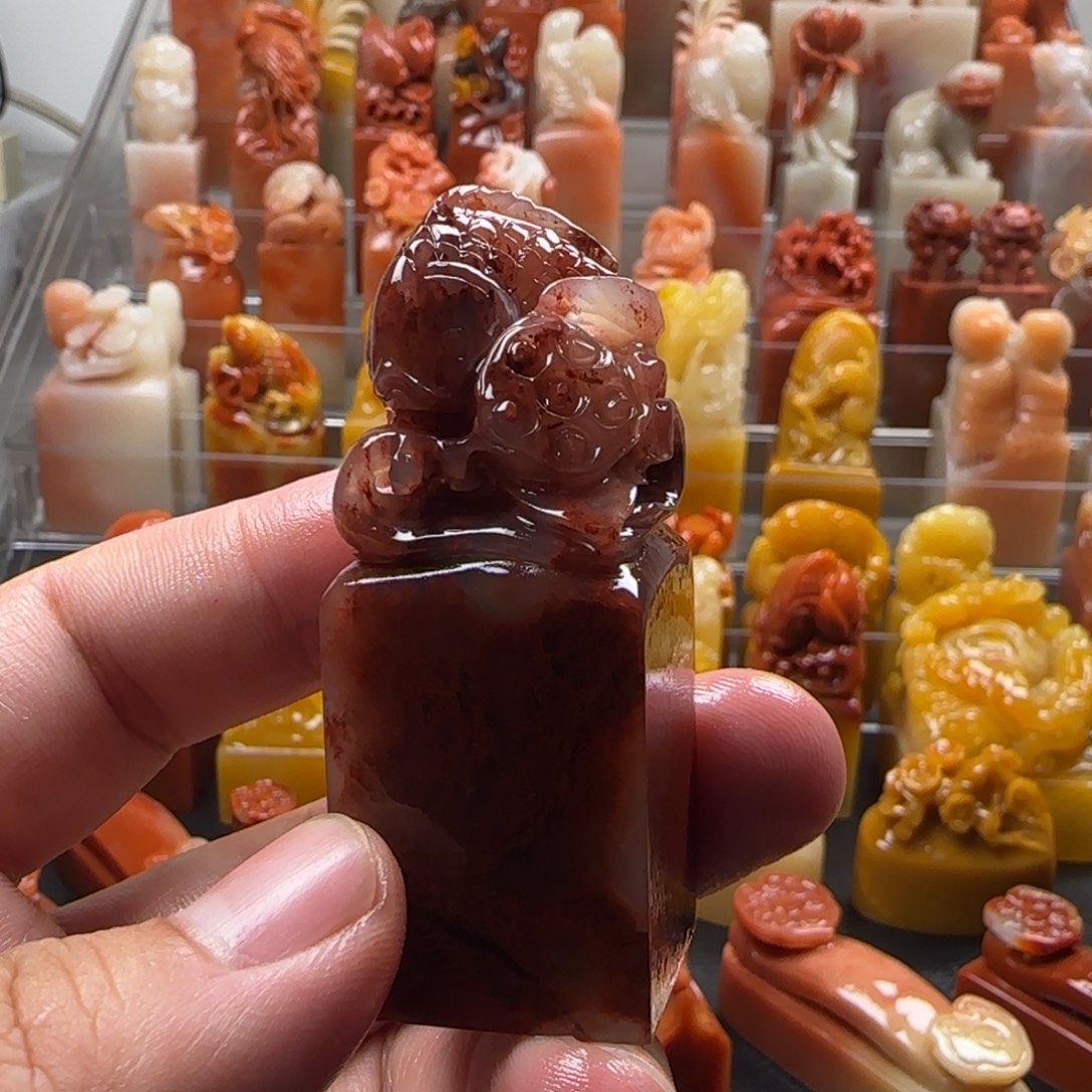 老挝石锦鲤  2.3×6.1