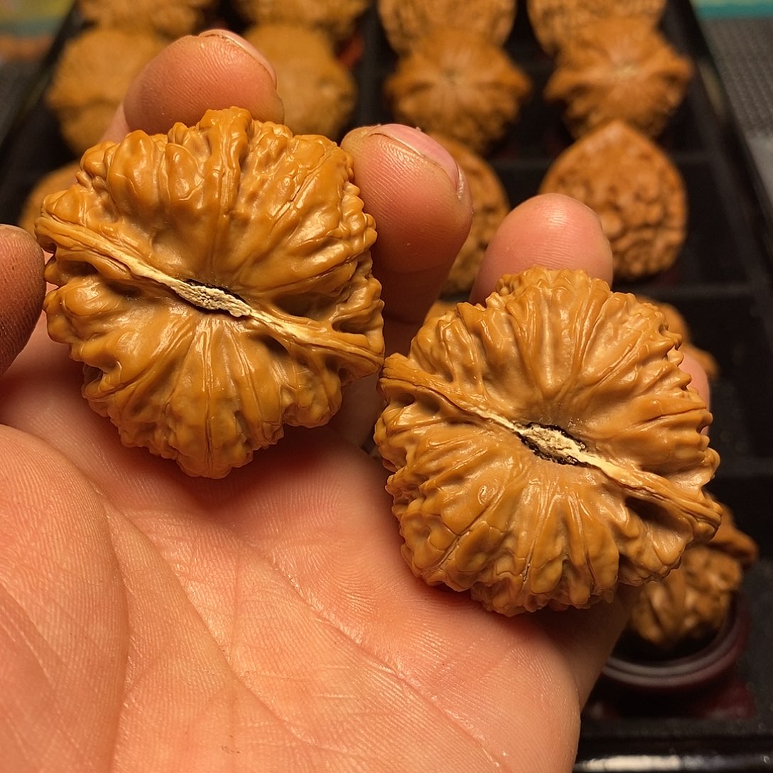 文玩核桃把件42尺平谷凹底